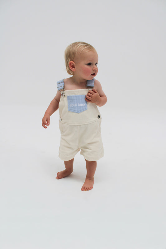coastal overalls